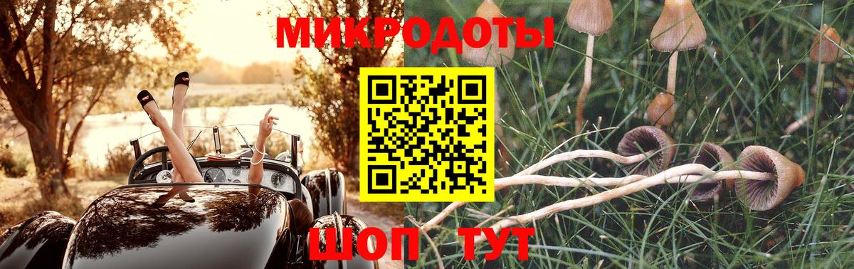 Псилоцибиновые грибы мухоморы Азов