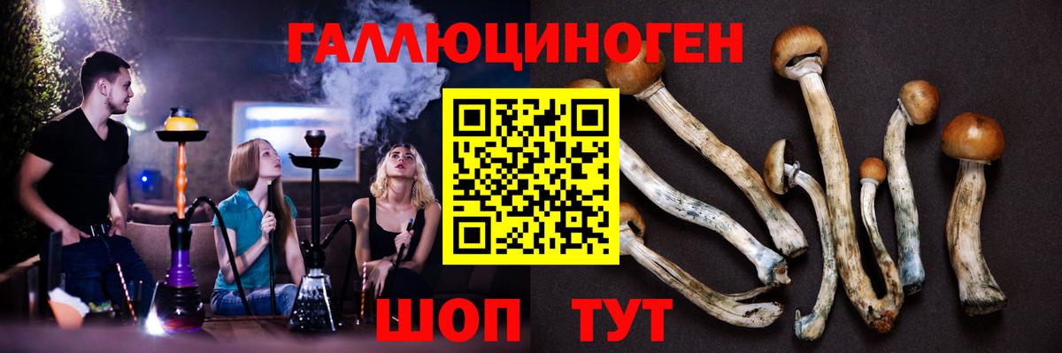 Азов  Галлюциногенные грибы мухоморы  Вход с VPN  Псилоцибиновые грибы GOLDEN TEACHER 